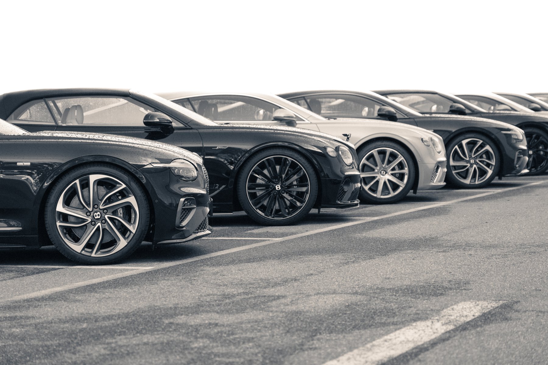 row of Bentley coupes parked in a line on wet asphalt under overcast light