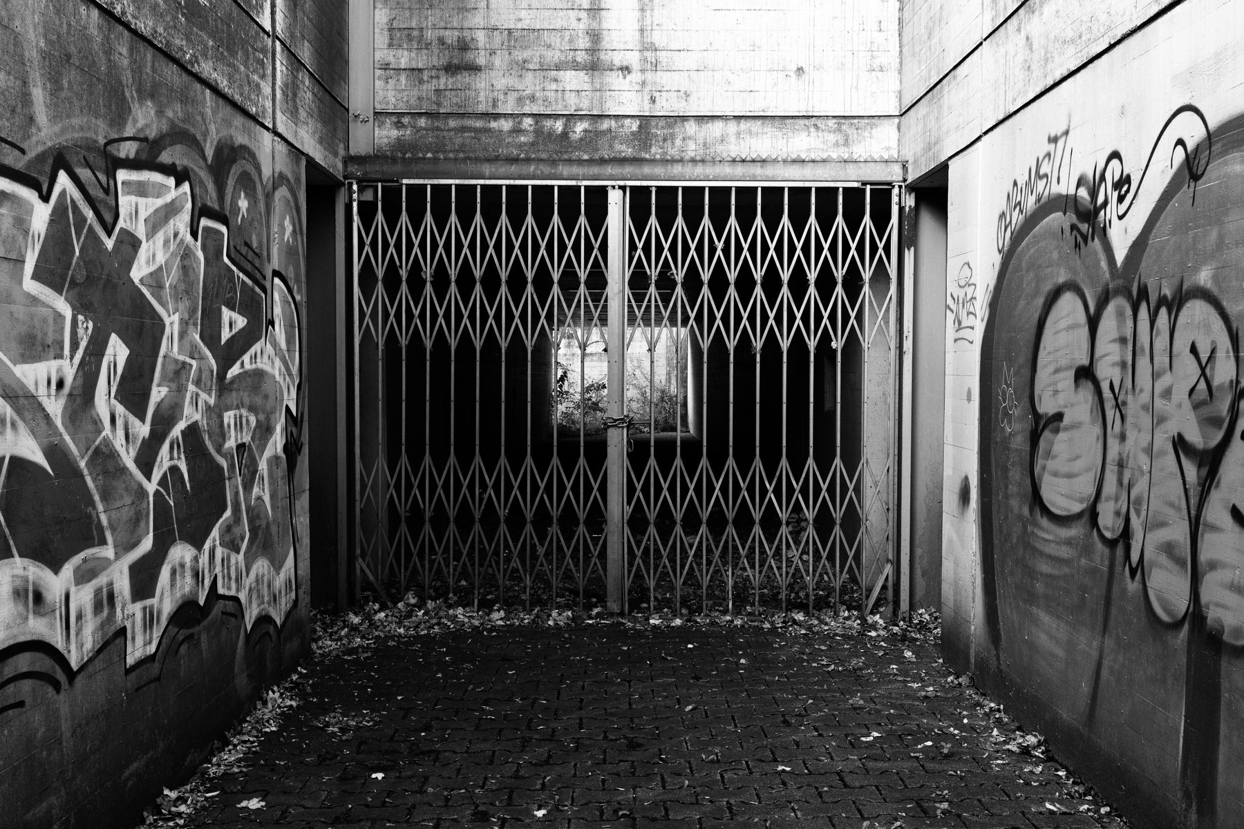 locked folding metal gate in a graffiti-covered concrete passage, fallen leaves on brick paving