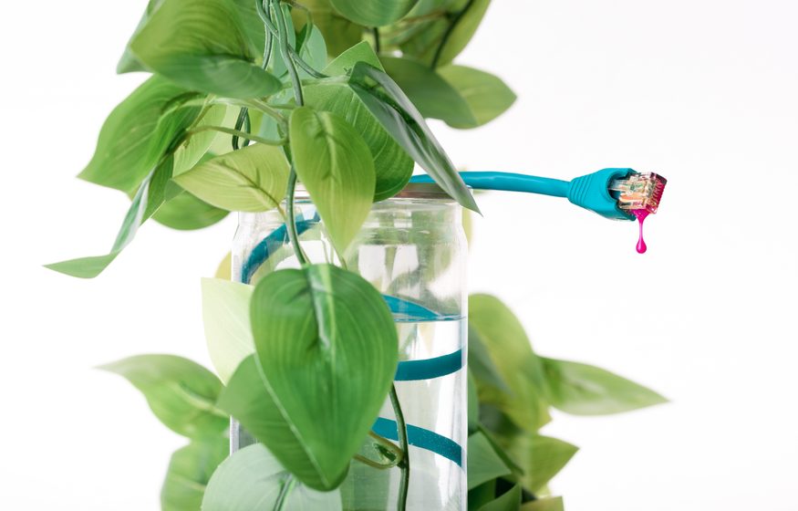 blue ethernet cable dripping pink liquid beside a leafy plant and glass of water